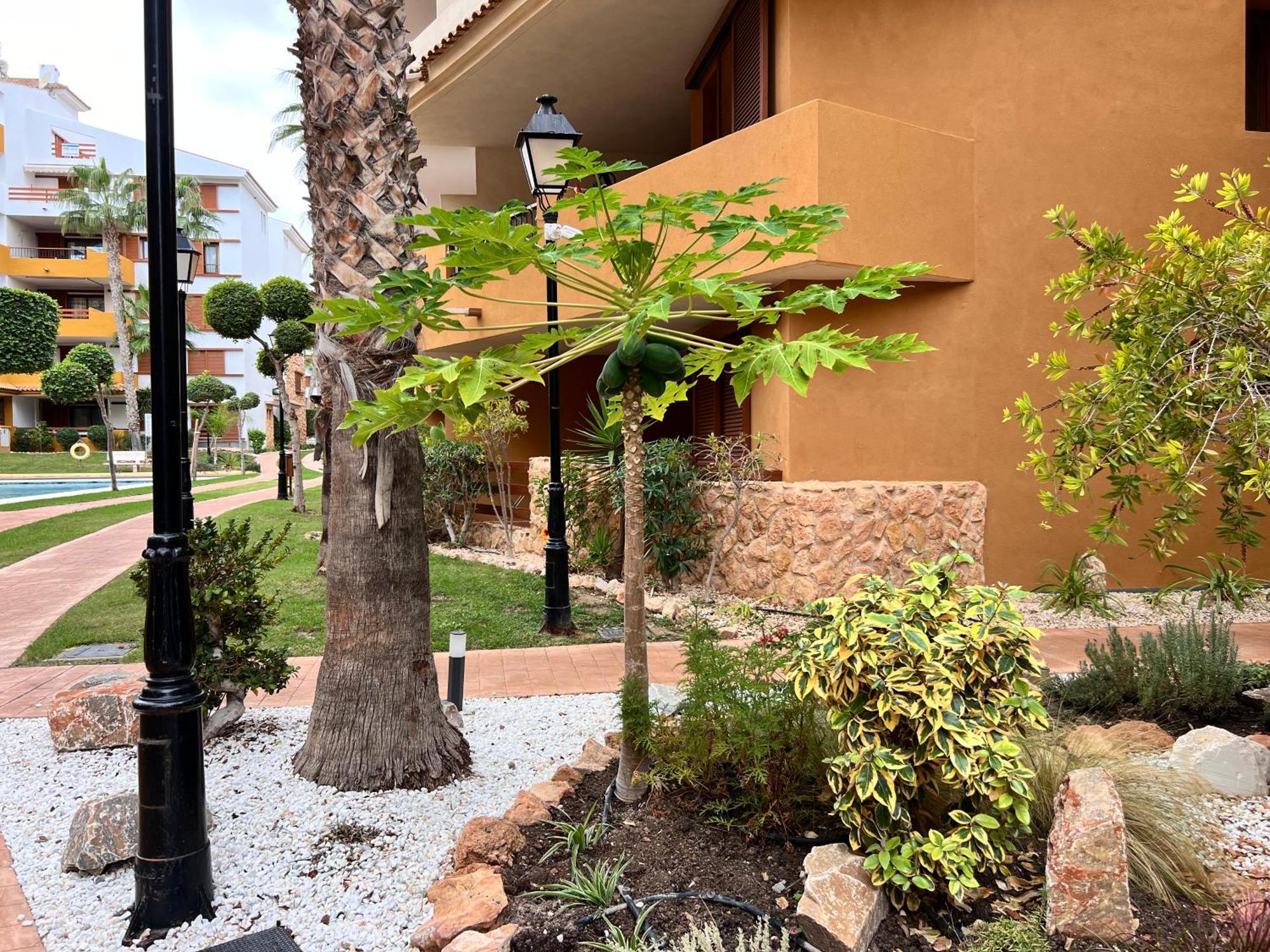 Punta Prima - Sun & Beach & Golf & Bike - Spanish South-Facing Terrace Apartment - La Recoleta - By The Sea Torrevieja Exterior photo